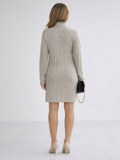 Alivia | Women's High Neck Turtleneck Dress